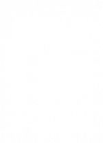 Favetti